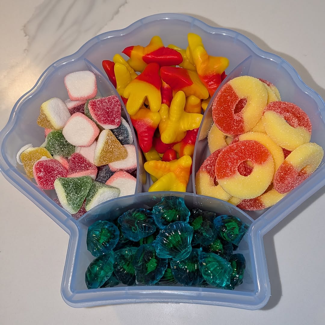 Summer Seashell Snackle Box